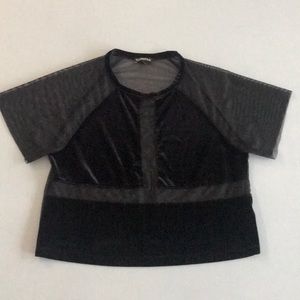 Velvet sheer crop top